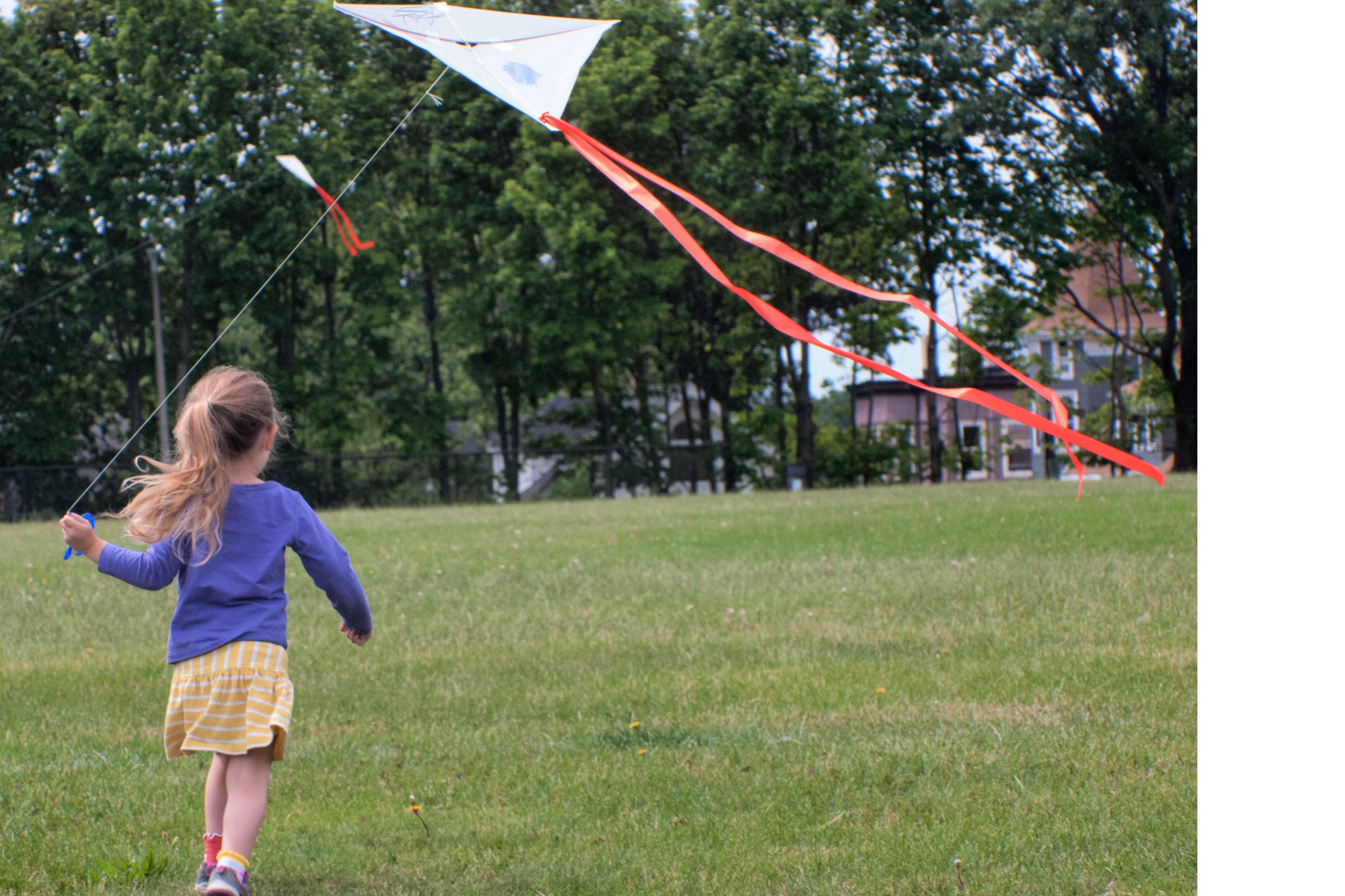 Take flight at the Ronan Park Kite Festival. Photo courtesy of Friends of Ronan Park