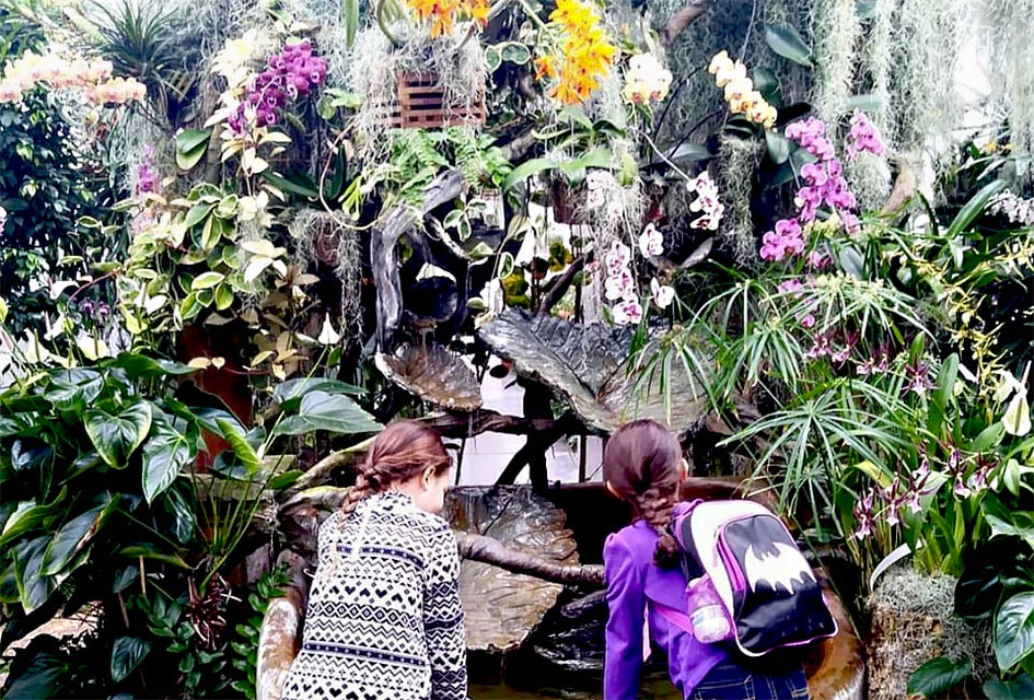 Get a taste of summer in the middle of winter in the beautiful Orchid Range at Duke Farms. Photo by savethemfromtheworld via instagram