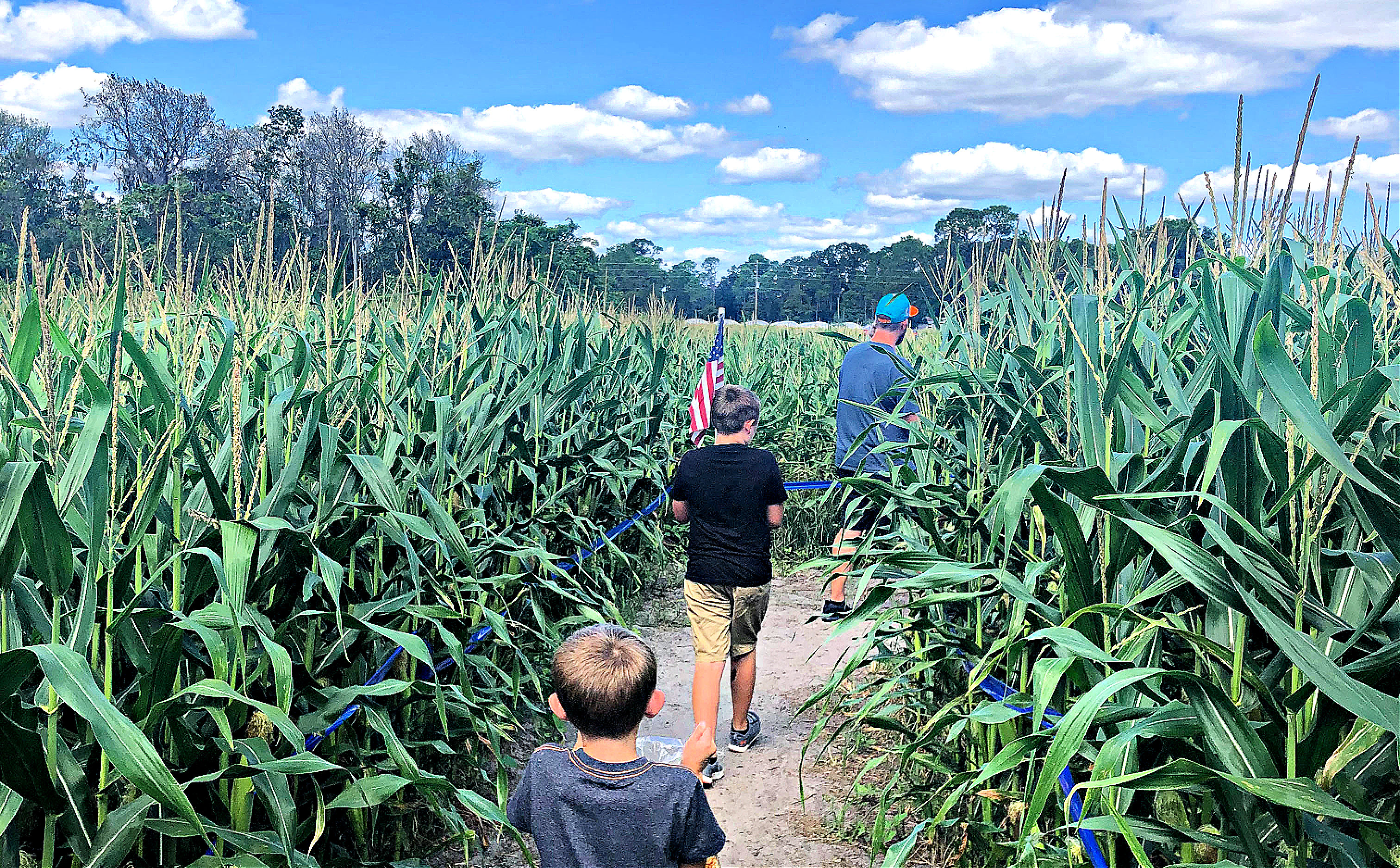 Scott's Maze Adventure 12 Corn Mazes near Orlando for Fall Fun with Kids