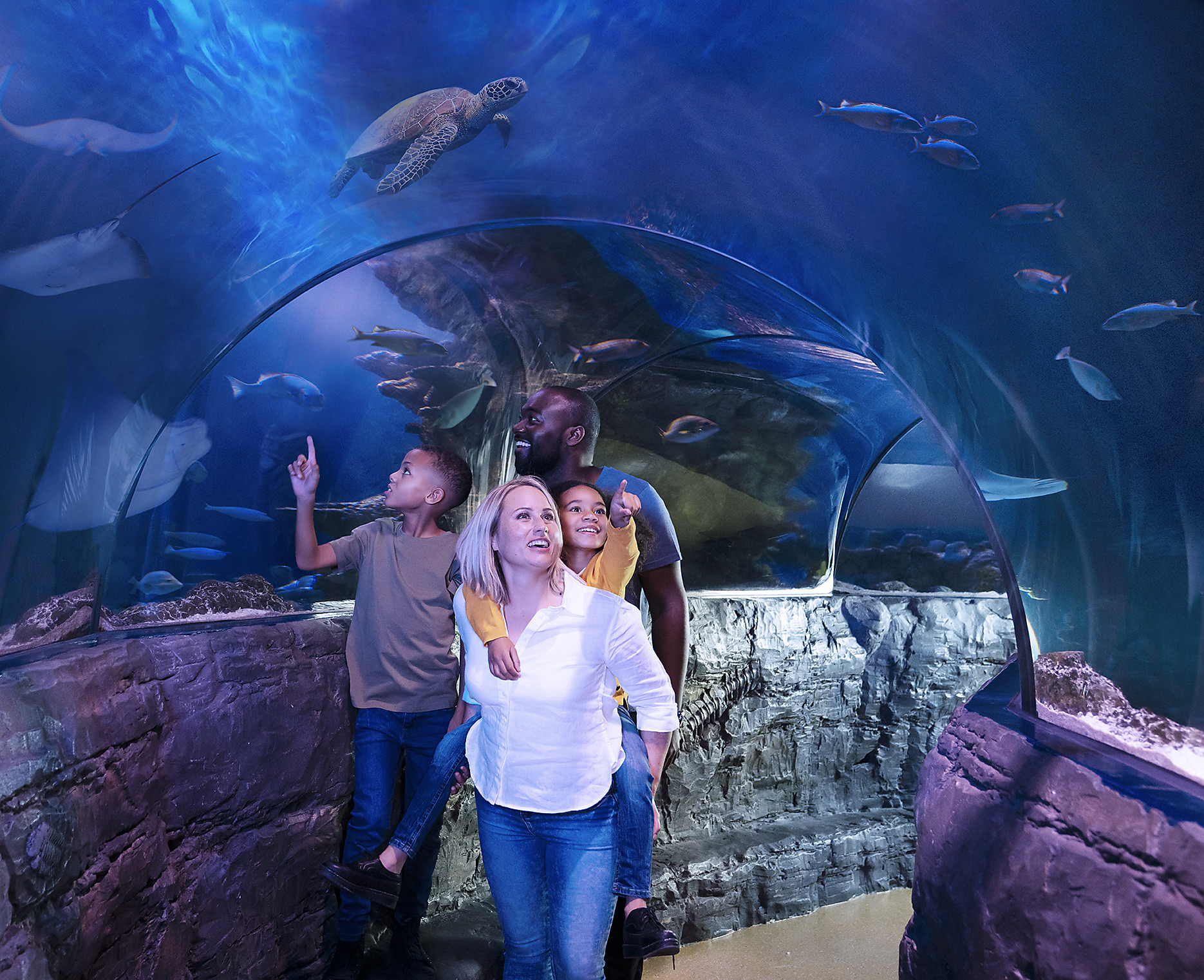Things To Do in Phoenix: SEA LIFE Arizona Aquarium