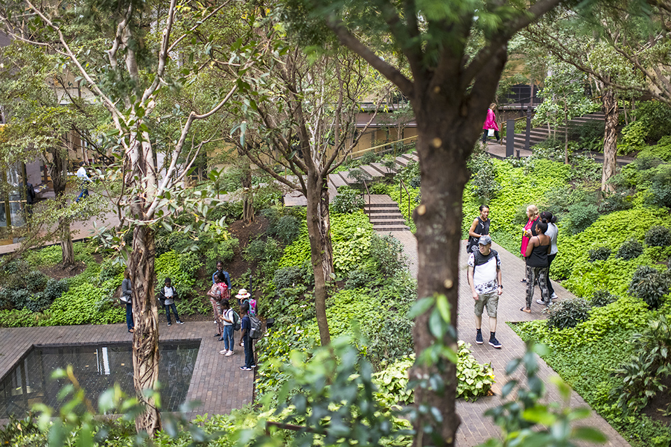 The Ford Foundation Atrium houses a spectacular, indoor, secret garden to explore. Photo courtesy of the foundation