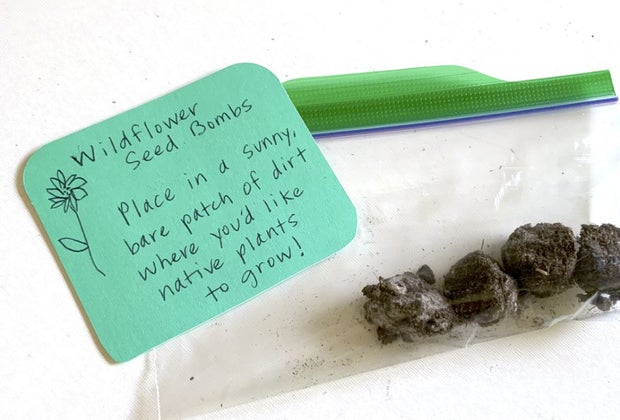When you make wildflower seed bombs, you gift them or just plant them!