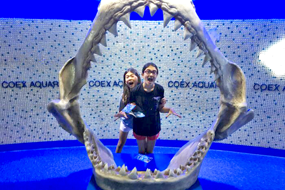 Head overseas to breathtaking Seoul, South Korea and make a stop at the Coex Aquarium. Photo by Diana Kim