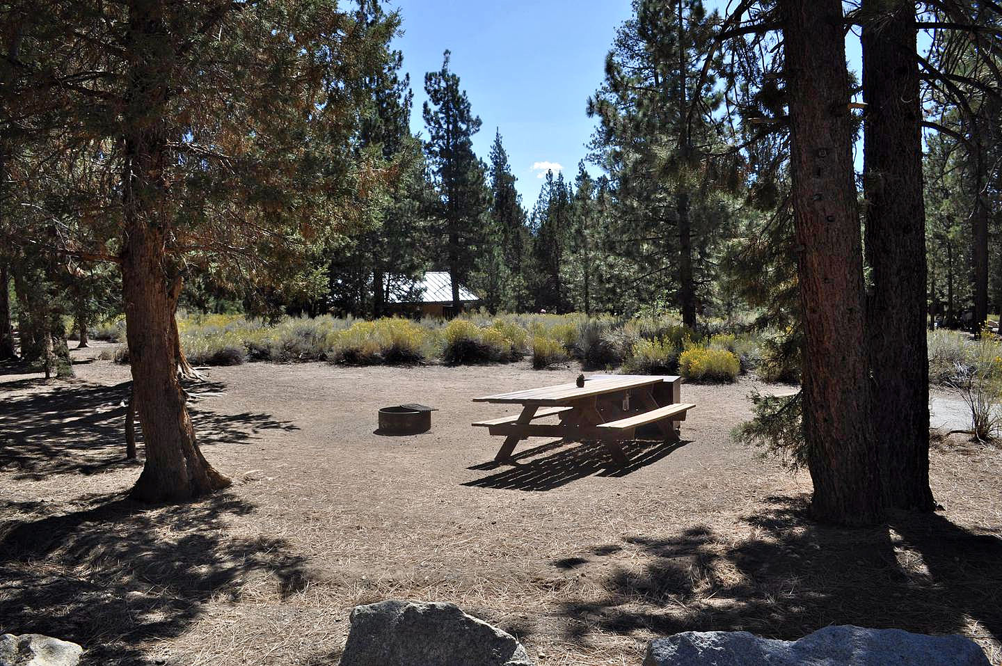 Best Campgrounds for Tent Camping with Kids Near LA: Serrano Campground at Big Bear Lake