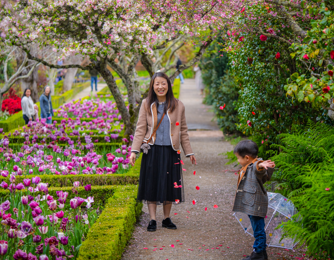 Let mom stop and smell the roses on Mother's Day. Photo by Albert Dros, courtesy of Filoli.