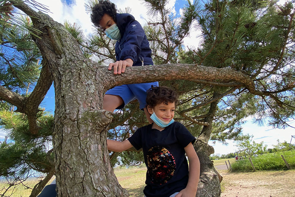 Two boys climb a tree