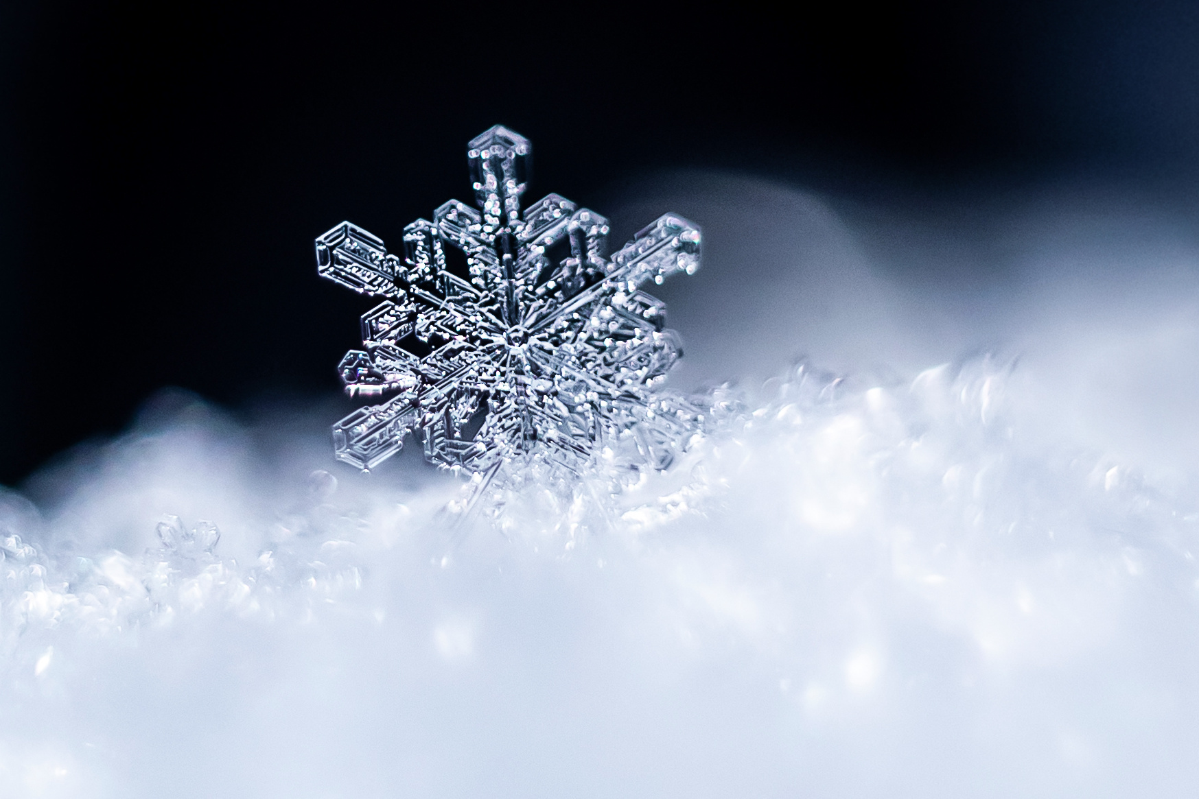 Kids will learn there's science in each snowflake! 