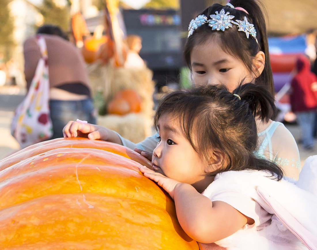Where your little pumpkin can meet up with a great pumpkin. Photo courtesy of Speer Family Farms