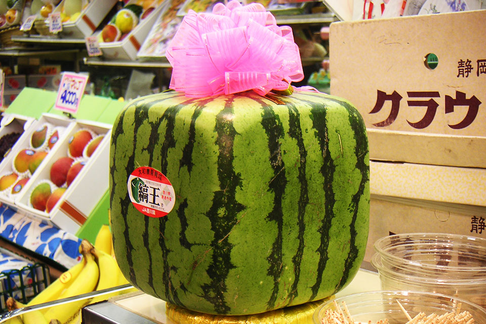 101 Fun Facts For Kids: Square watermelons exist!