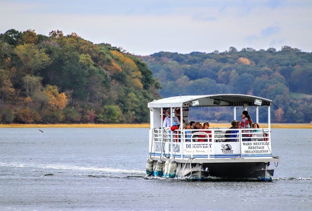 Discovery Wetlands Cruise in Stony Brook