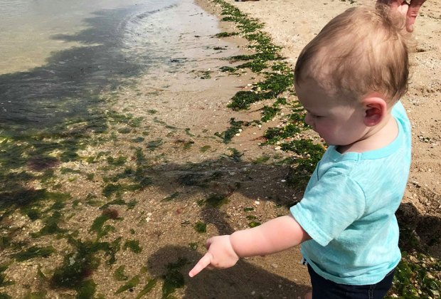 Spend a day at a Long Island beach with your baby during their first year. 