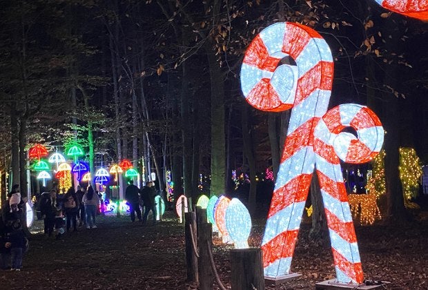 Anne-Ellen Tree farm has been a long-time Christmas destination and its walk-through village adds to the allure.