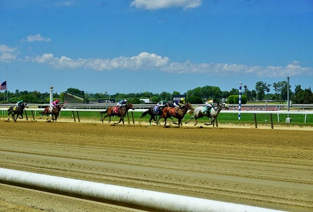 Belmont Park is a picturesque setting to enjoy a day of thoroughbred horse racing.