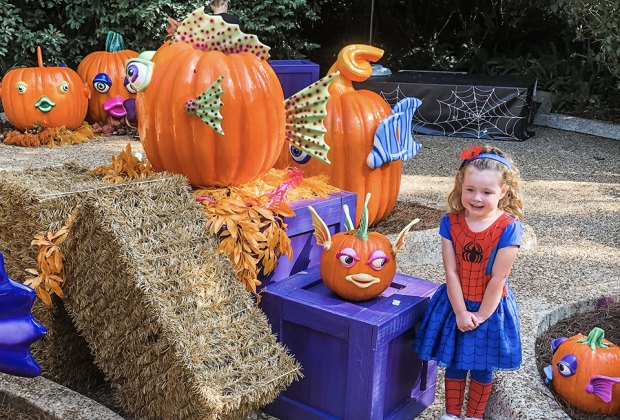 SeaWorld Orlando's Halloween Spooktacular entertains kids until November 2, 2025. Photo by author