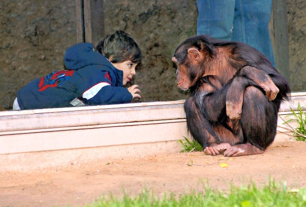 Hello new friend. Photo by Jamie Pham