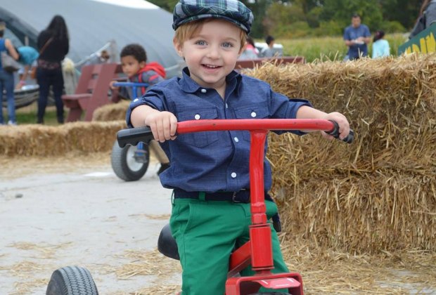 Connors Farm has apples, corn mazes, and ride-ons among the haystacks! 