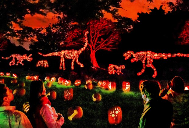 Marvel at dinos, exotic animals, superheroes, movie stars, and more after the regular zoo closes for the evening. Photo courtesy of Franklin Park Zoo