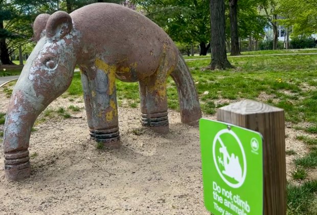 Come nose-to-nose with the adorable aardvark at the Home for Retired Playground Animals in Queens.