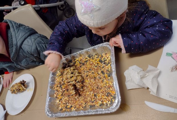 Make a bird feeder at Ladson Park this weekend. Photo courtesy of Lasdon Public Gardens