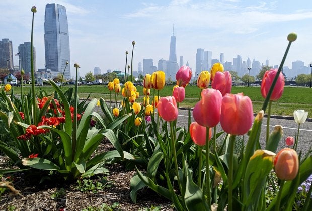 Enjoy the beauty and views at Liberty State Park, which offers a lovely destination in all seasons. Photo courtesy of the Park