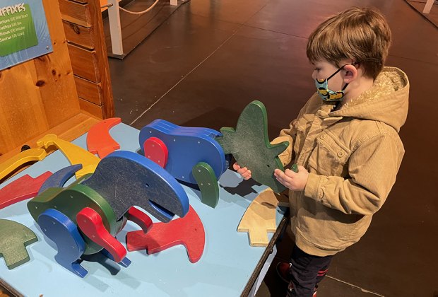 Little ones can create a dinosaur from a series of attachable parts.