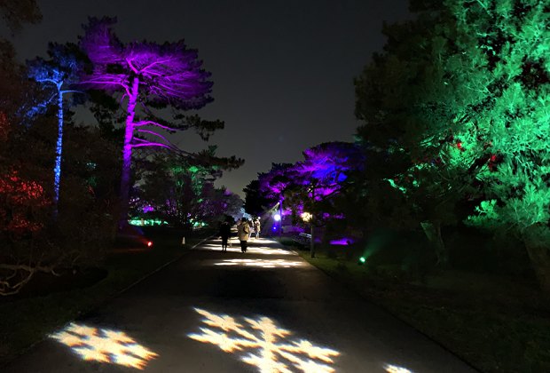 See the whimsical snowflake-covered paths and brightly lit trees at NYBG Glow through January 9, 2021.