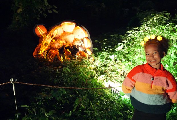 From aardvarks to bush babies, gorillas, and more, the Bronx Zoo's Pumpkin Nights lets you see wildlife in a whole new light. 