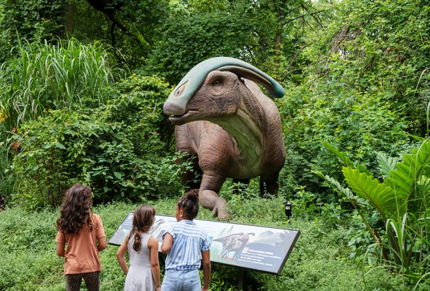Dinosaur Safari returns to the Bronx Zoo this spring. Photo courtesy of the zoo