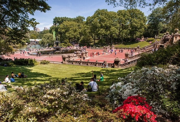 It's officially spring in NYC when Central Park starts to bloom. Photo by Brittany Petronella/NYC Tourism + Conventions