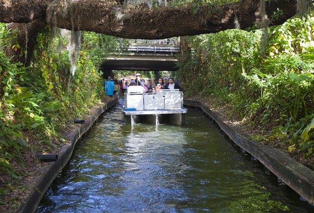 Explore the area's beautiful lakes and canals on the Winter Park Scenic Boat Tour. Courtesy of Visit Orlando