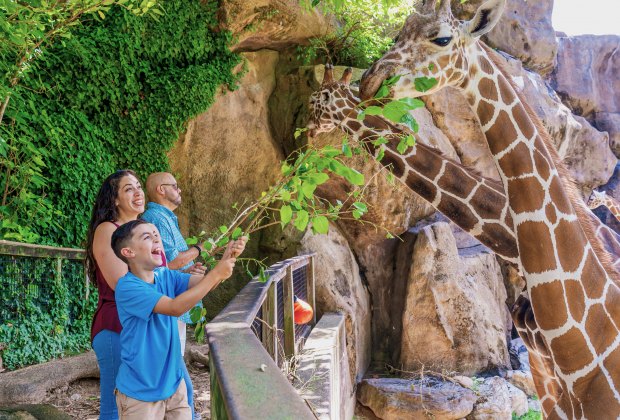 The animals are very friendly at the Philly Zoo... especially around lunchtime. Photo by J. Fusco