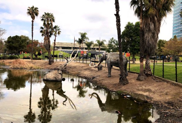 The La Brea Tar Pits are one of the most famous fossil discovery spots in the world.