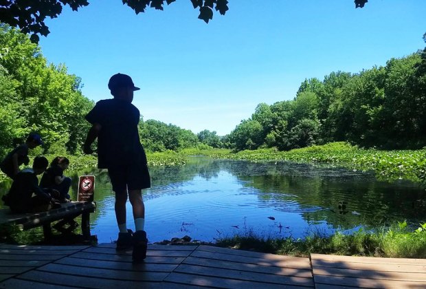 Photo courtesy of the Tenafly Nature Center