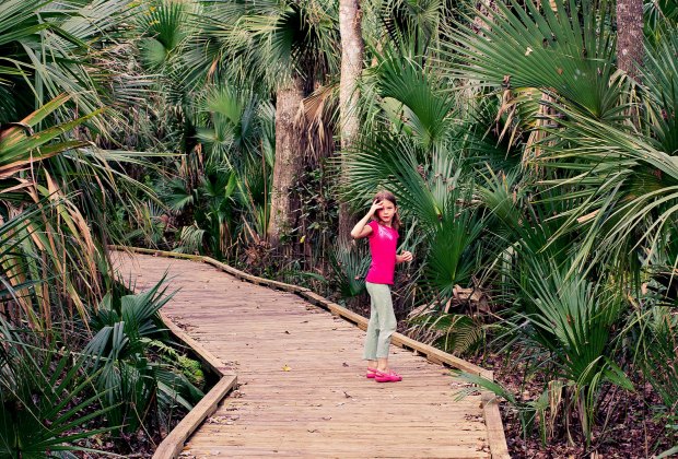 Wekiwa Springs and other Florida state parks are open for passive recreation. Photo by Rain0975/Flickr