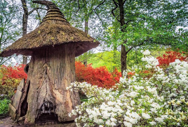 The Tulip Treehouse at Winterthur is a location right out of The Hobbit. Photo courtesy of Bob Lietch for Winterthur Garden