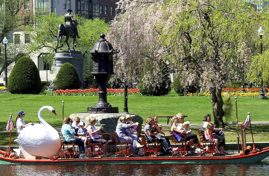 Image of the Boston Swan Boats, one of the fun things to do on Mother's Day 2024 in Boston.