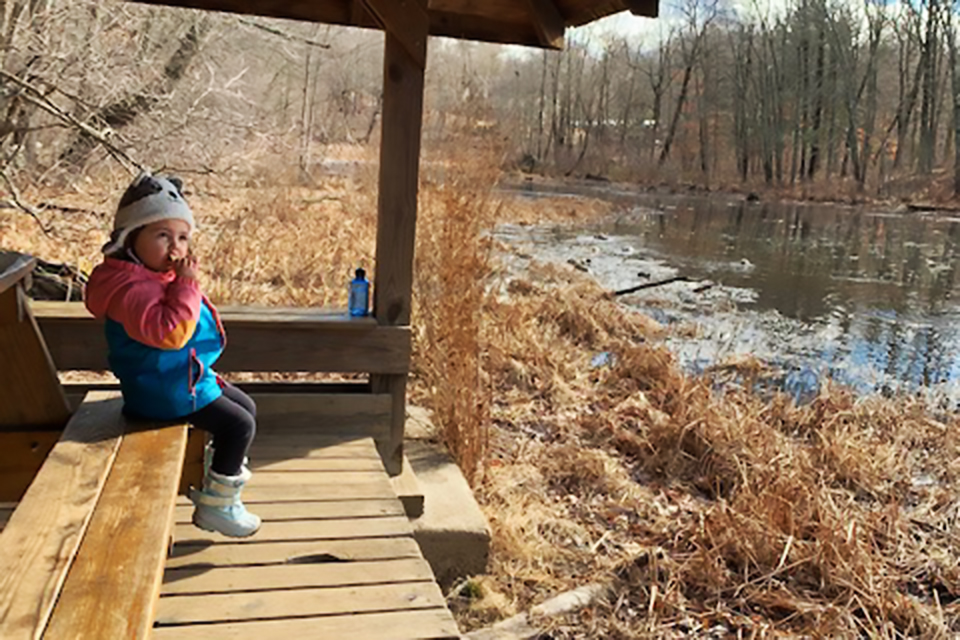 Enjoy a lakefront picnic mid-hike at Teatown Lake Reservation in Ossining.