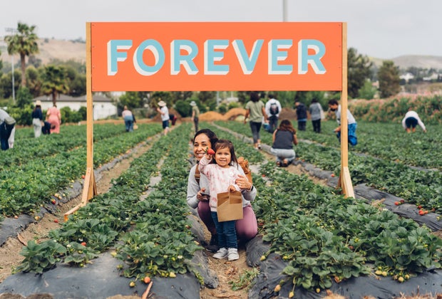 Spring in Los Angeles: Strawberry Picking at The Ecology Center