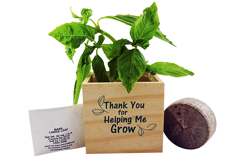 Teacher Appreciation Gifts: Garden gifts