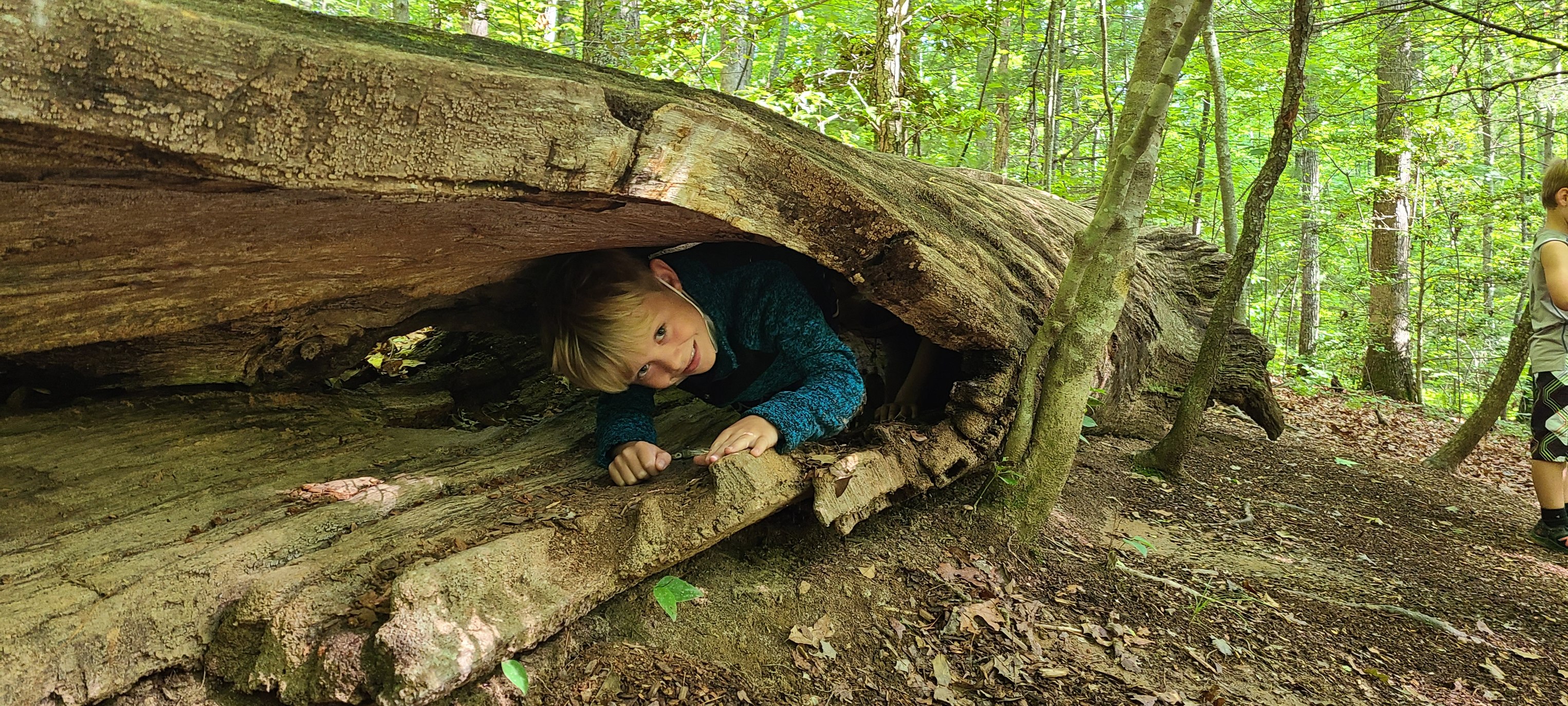 North Carolina Arboretum