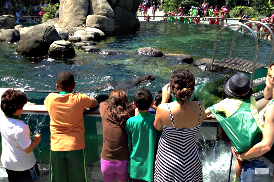 With a small camper-to-staff ratio, parents can feel safe while kids are out and about on field trips with Camp Green Tree. Photo courtesy of the Aaron School