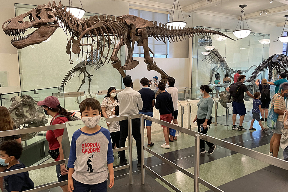 Boy in front of T. Rex at AMNH one of our favorite NYC tourist attractions