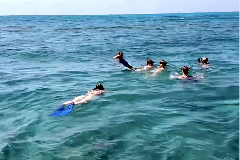 Ace Diving: snorkeling