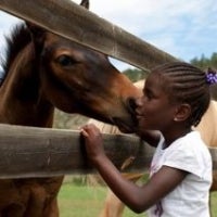 Sylvan Dale Dude Ranch