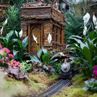 Holiday Train Show