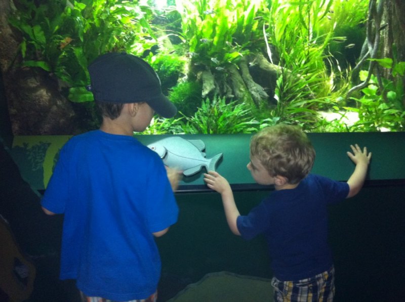 New York Aquarium visit
