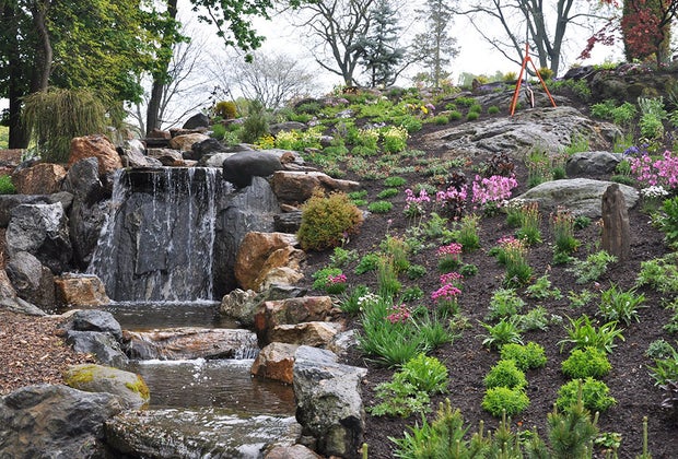 See the flowers and at waterfall on Father's Day in Westchester at Untermyer Gardens