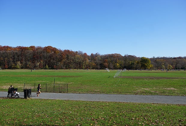green fields van cortlandt park