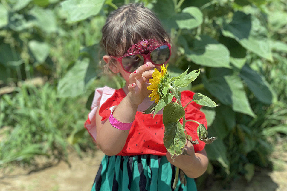 Whether it's the Tulip Festival in the spring, or the Sunflower Fest in late summer, there's always something fun happening at Waterdrinker Family Farms. 
