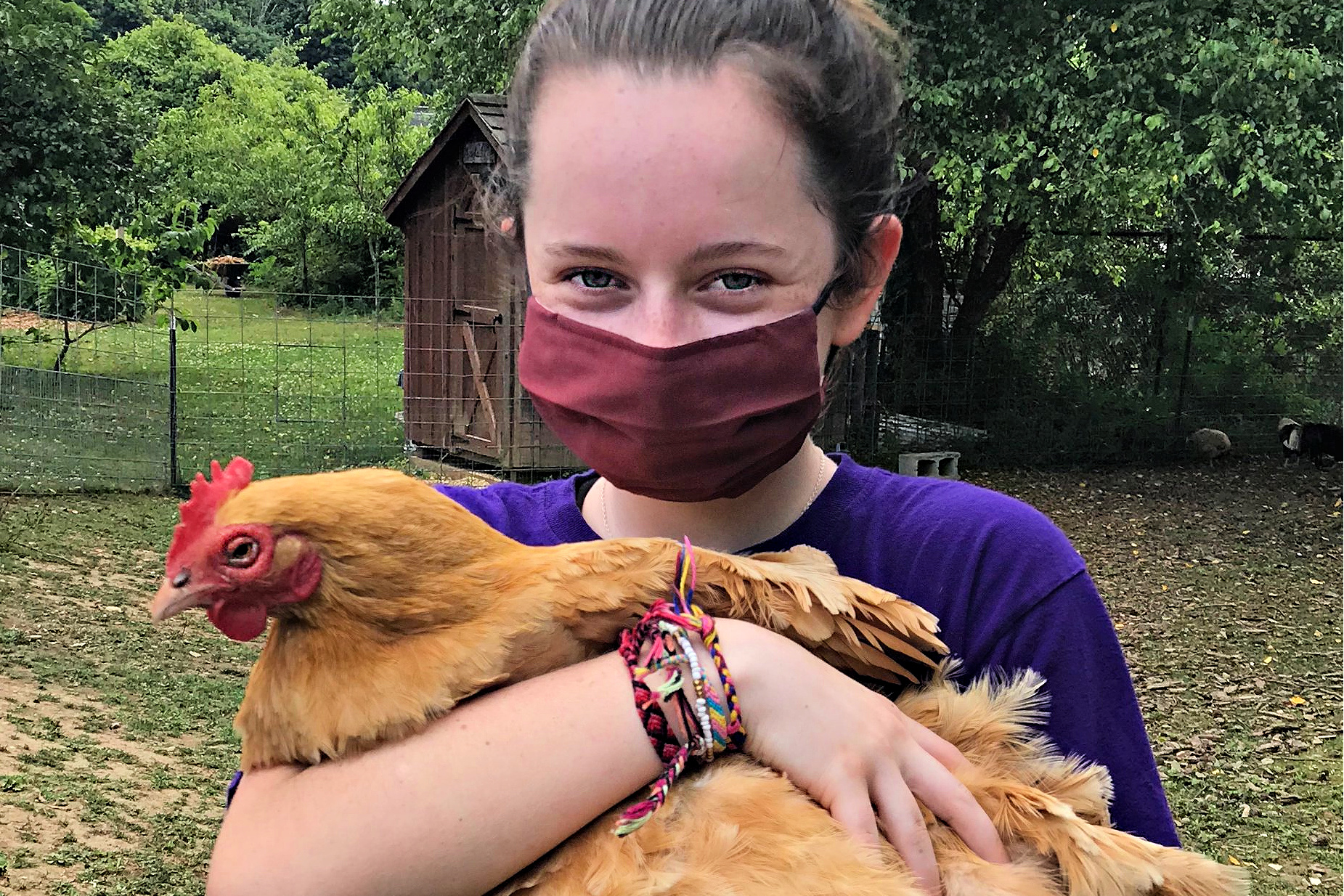 Learn how to care for animals at the farm. Photo courtesy of Wakeman Town Farm Sustainability Center